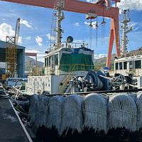 SFLN-000598