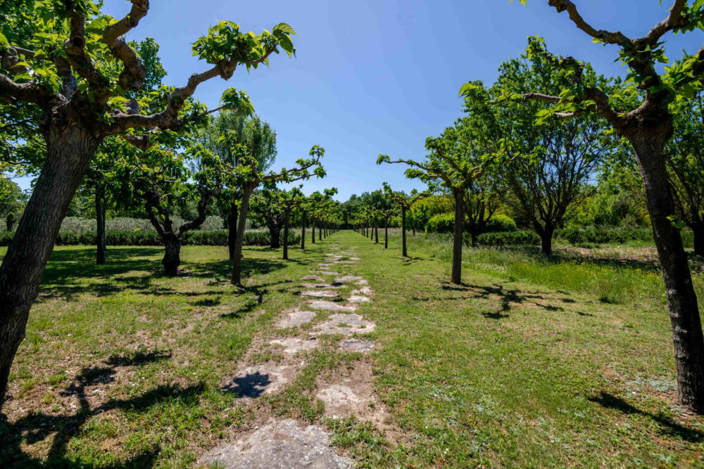 Photographs of Mas des Roses 3 villa in Provence - Image 35 of 37