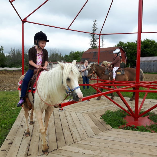 Equitation outaouais Clearance