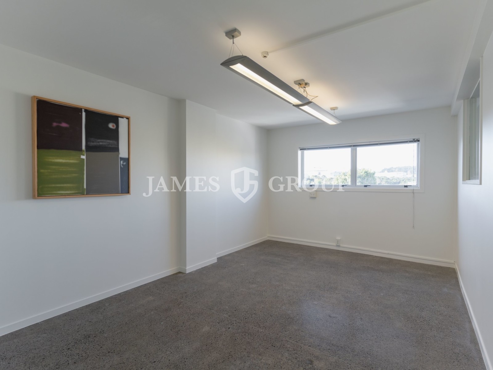 Versatile Corner Showroom | Grey Lynn
