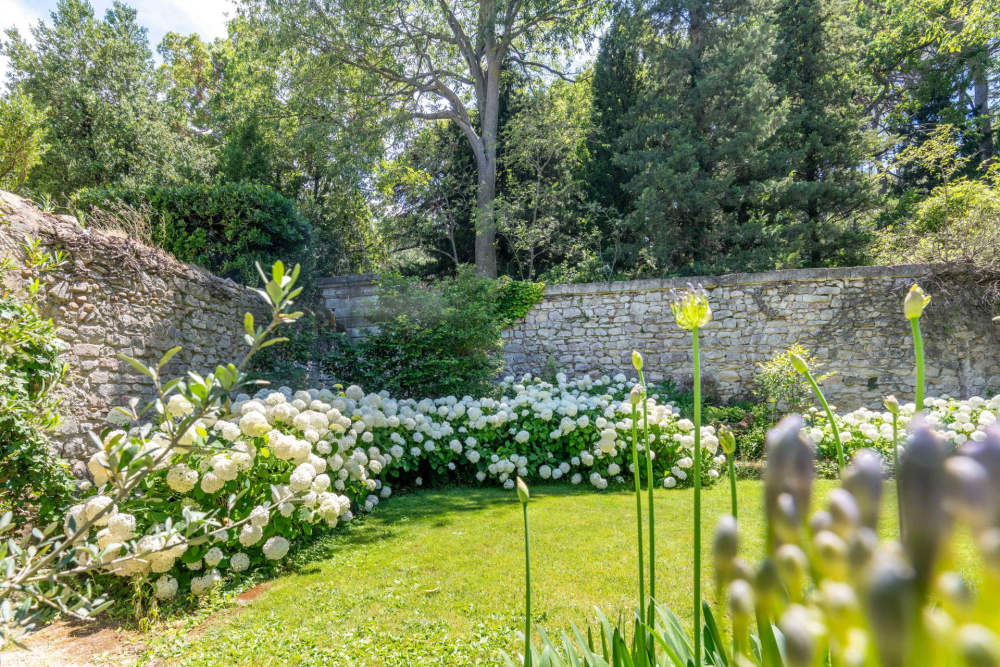 Photographs of Mas de Montolivet villa in Provence - Image 38 of 42