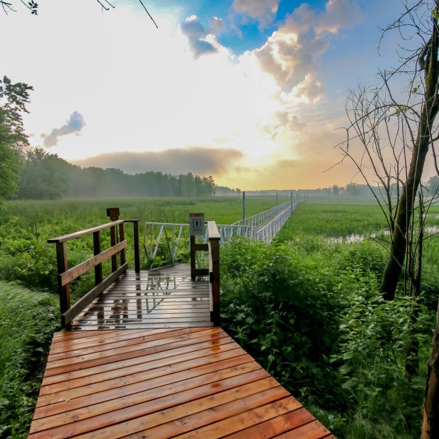 Parc national de Plaisance Tourisme Outaouais