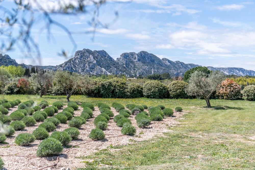 Photographs of Mas des Rêveries villa in Provence - Image 37 of 40