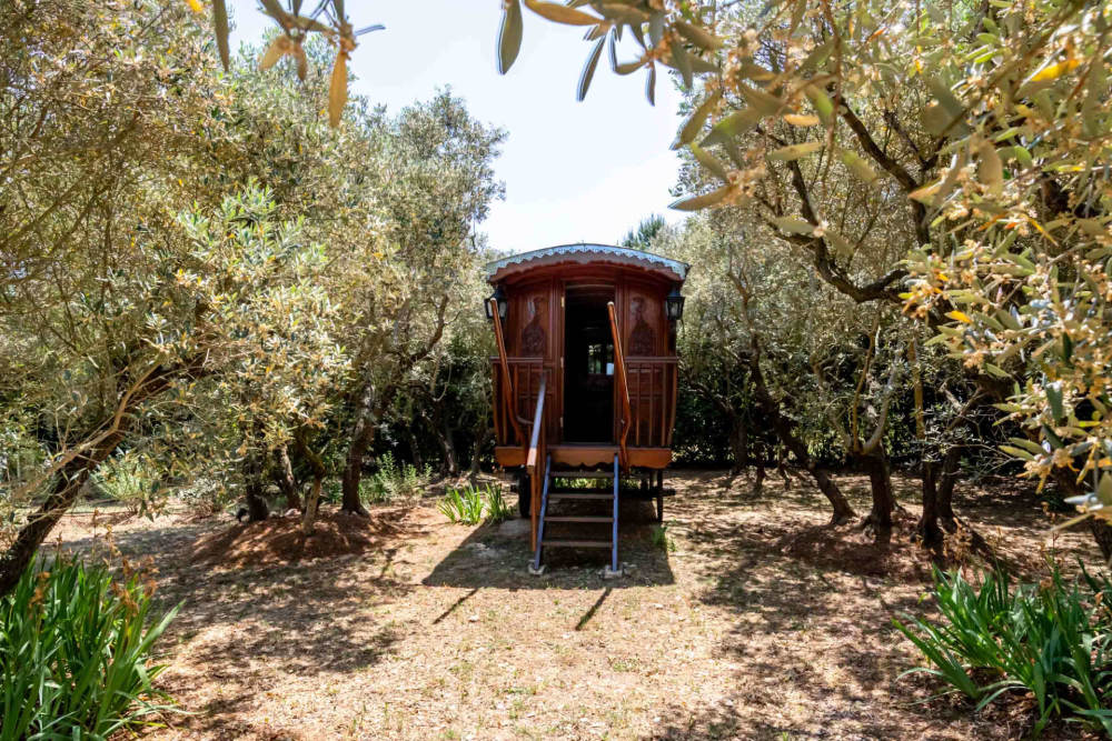 Photographs of Villa Symphonie villa in Provence - Image 40 of 41
