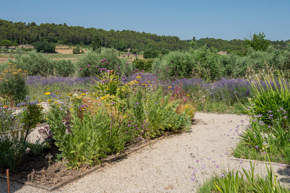 Photographs of New! Mas du Trésor villa in Provence - Image 35 of 35