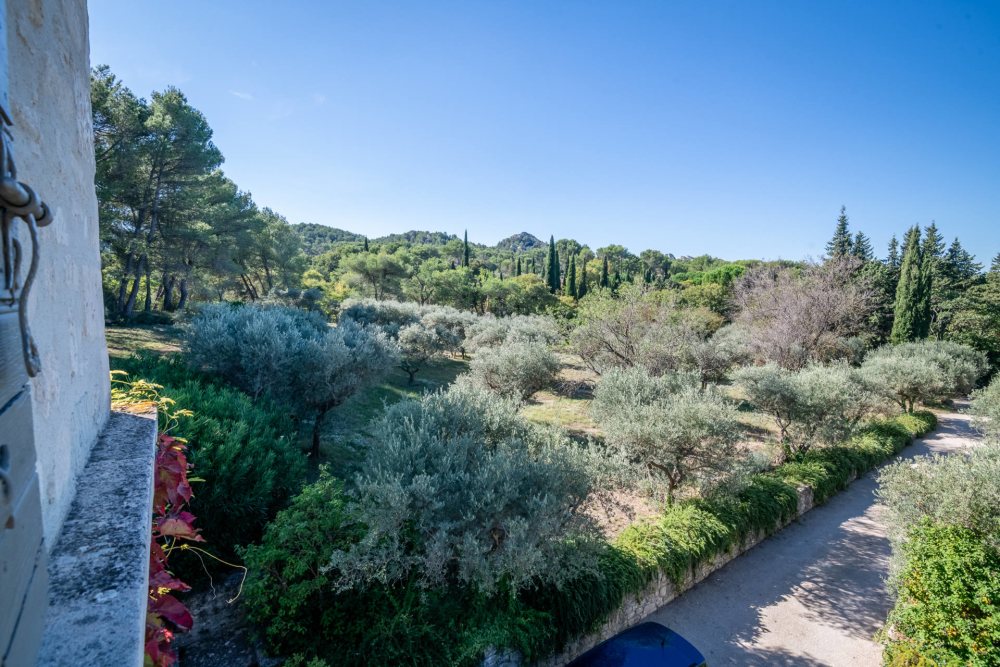 Photographs of Mas du Lac villa in Provence - Image 34 of 56