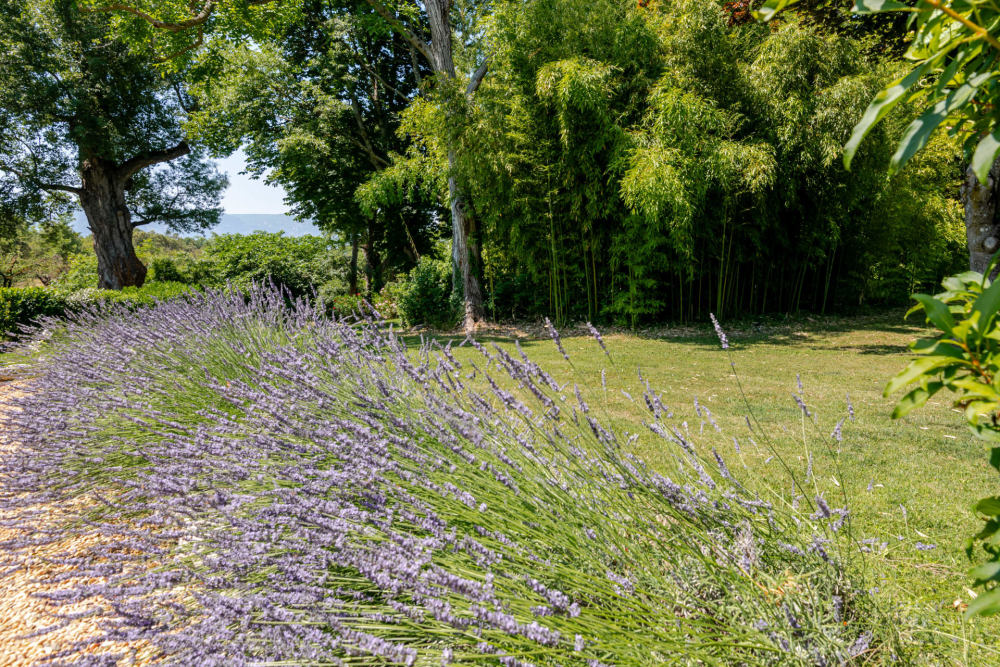 Photographs of Mas de la Plume villa in Provence - Image 38 of 39
