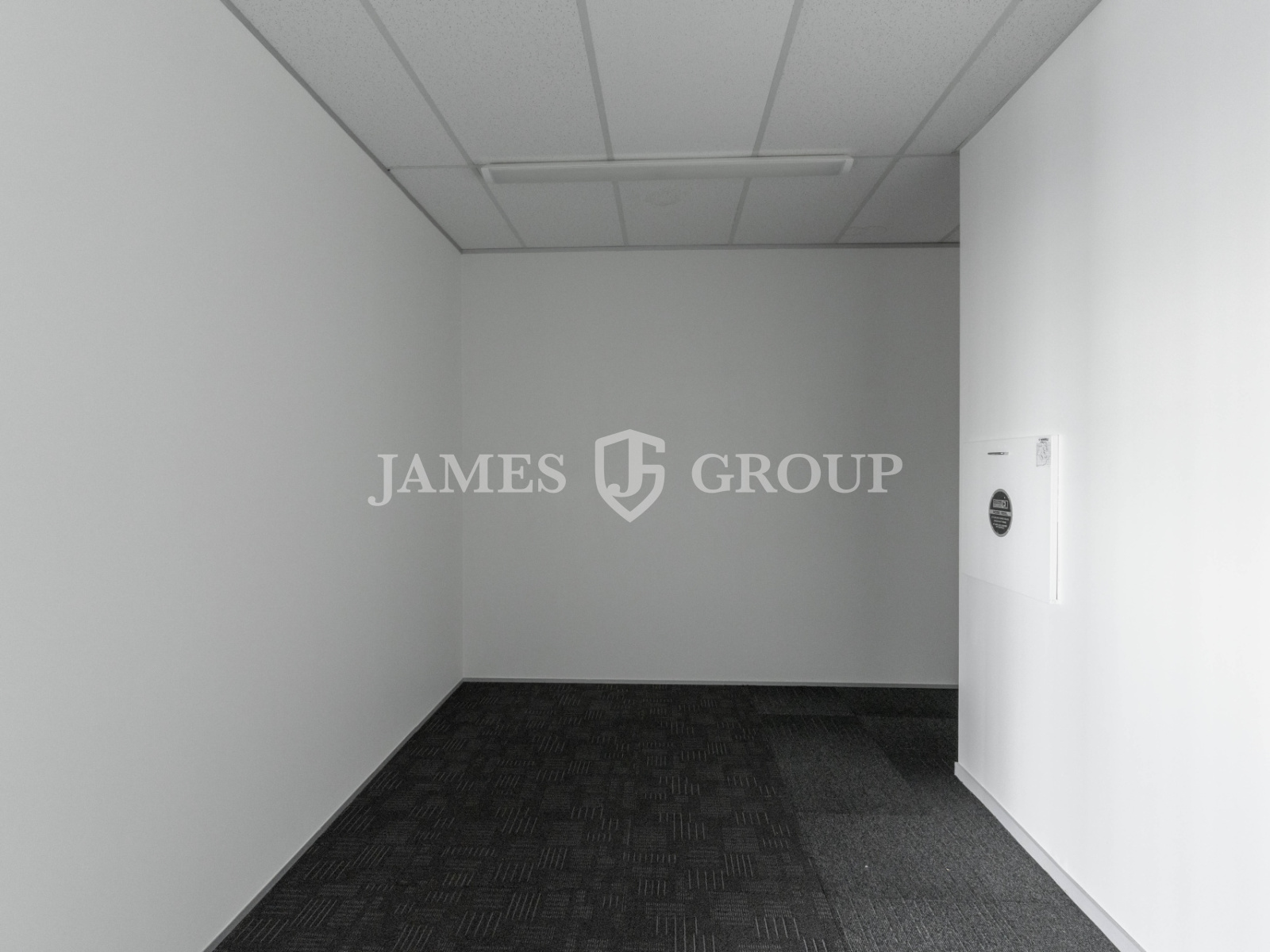 Central Newmarket Opportunity