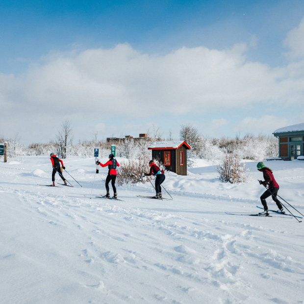 Myriam Baril-Tessier