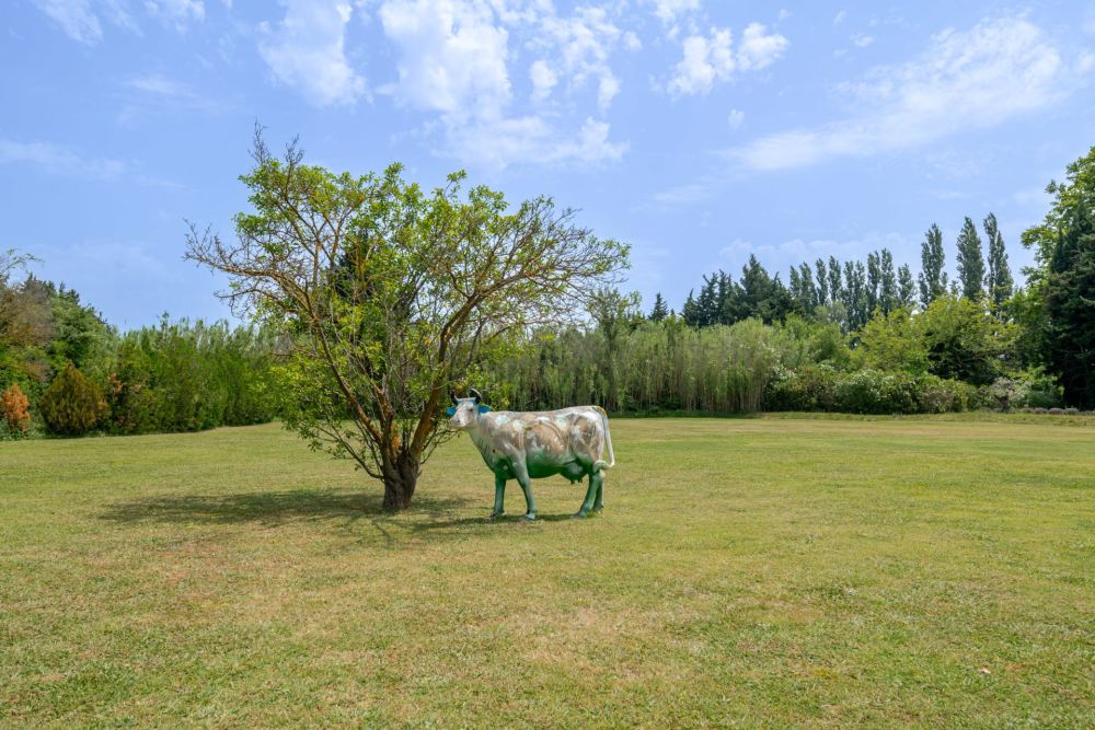 Photographs of Mas de Velorgues villa in Provence - Image 58 of 58