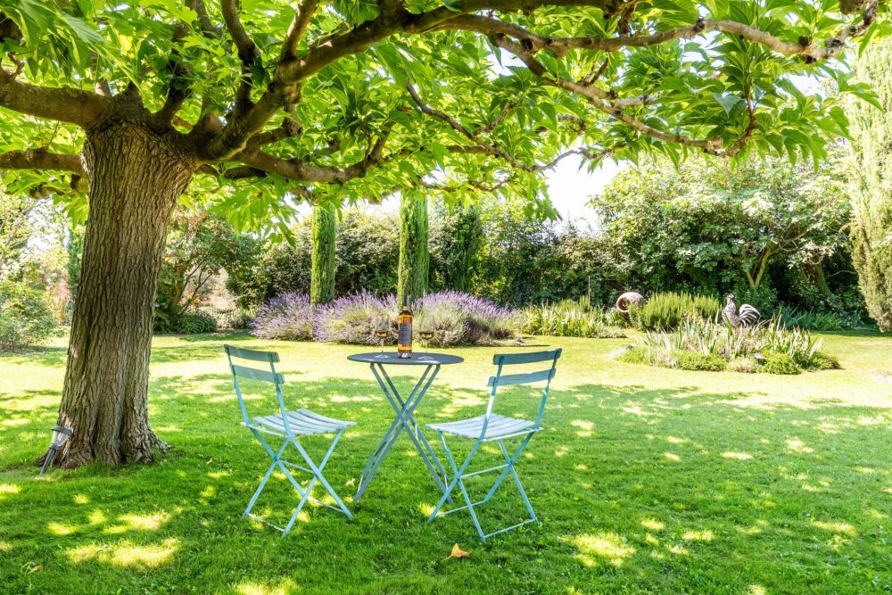 Photographs of Mas Hosanna villa in Provence - Image 38 of 49
