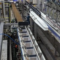 Complete Filling & Packaging Line- - Image 73