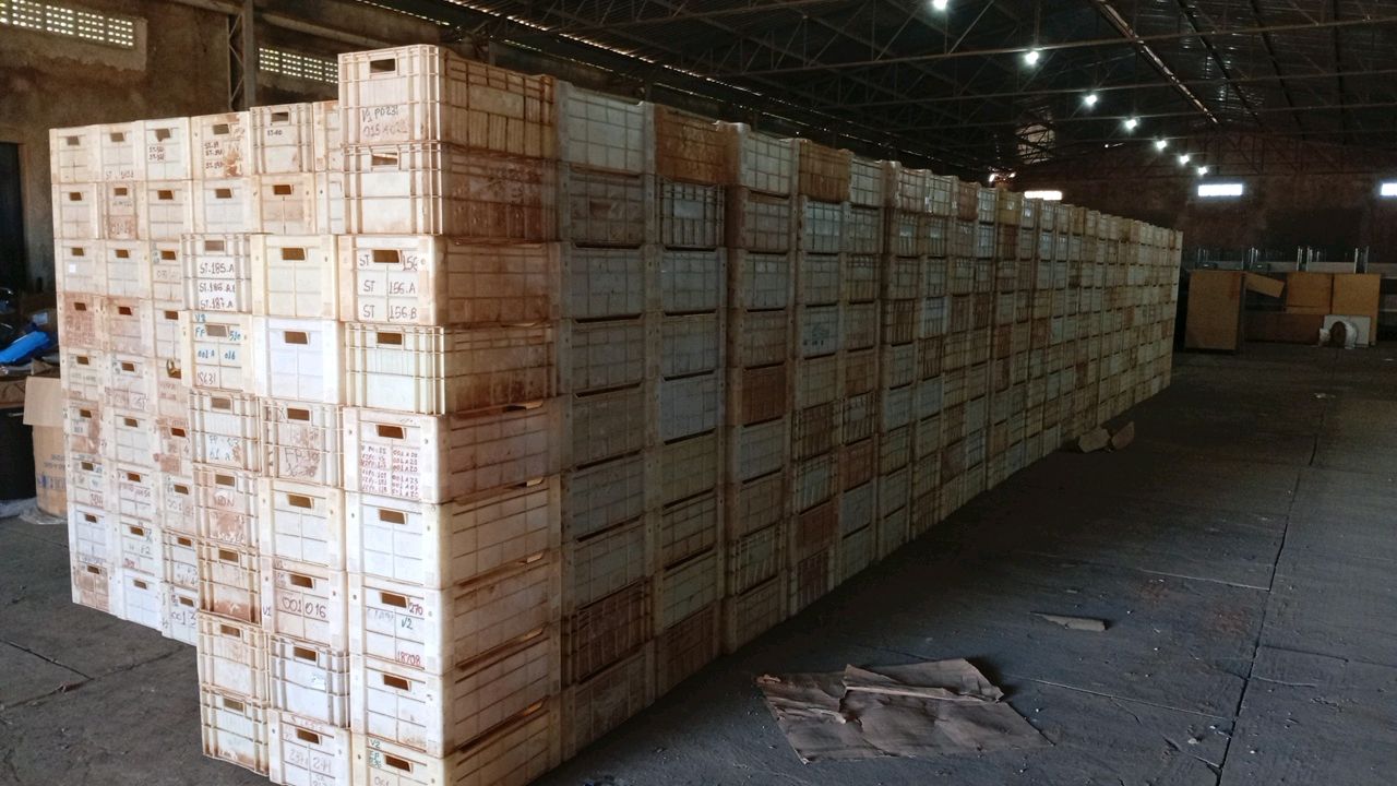 Lot of Boxes Approximately 2000 stackable plastic boxes