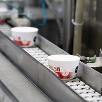 Jars Filling Line-Fillpack - Image 13