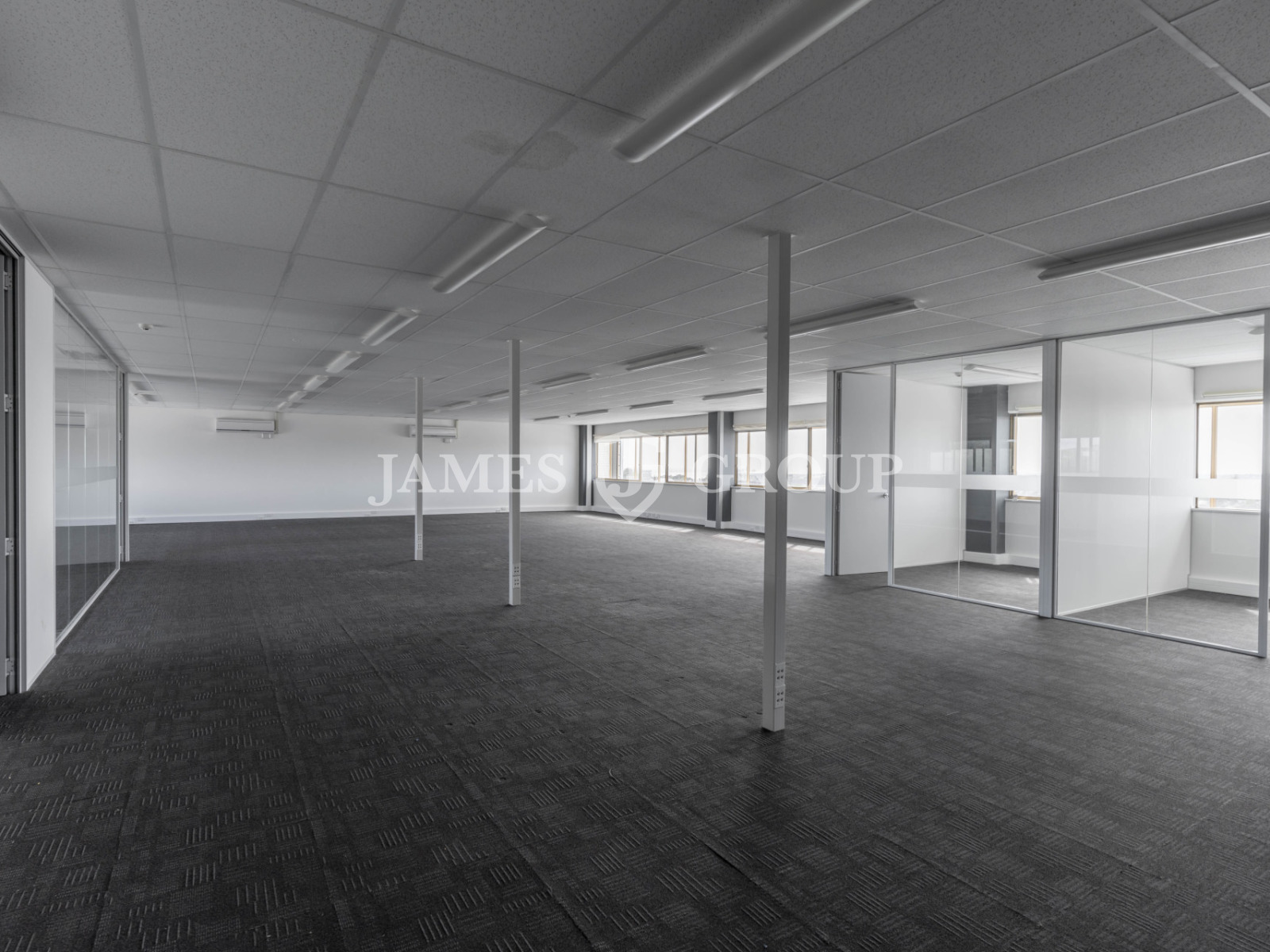 Central Newmarket Opportunity