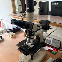 SFLN-008025-Position-1