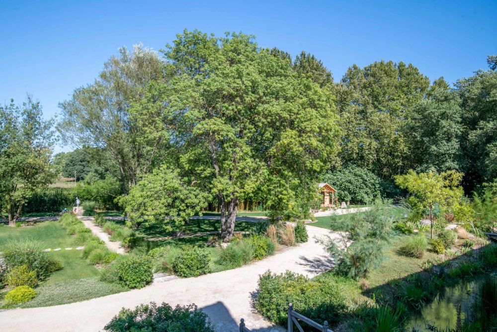 Photographs of Mas des Pierres villa in Provence - Image 54 of 60