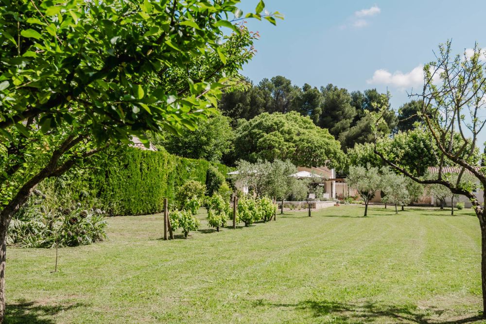 Photographs of Bijou de Paradou villa in Provence - Image 13 of 36