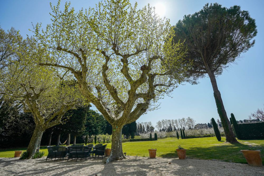 Photographs of Mas d’Olivia villa in Provence - Image 39 of 39