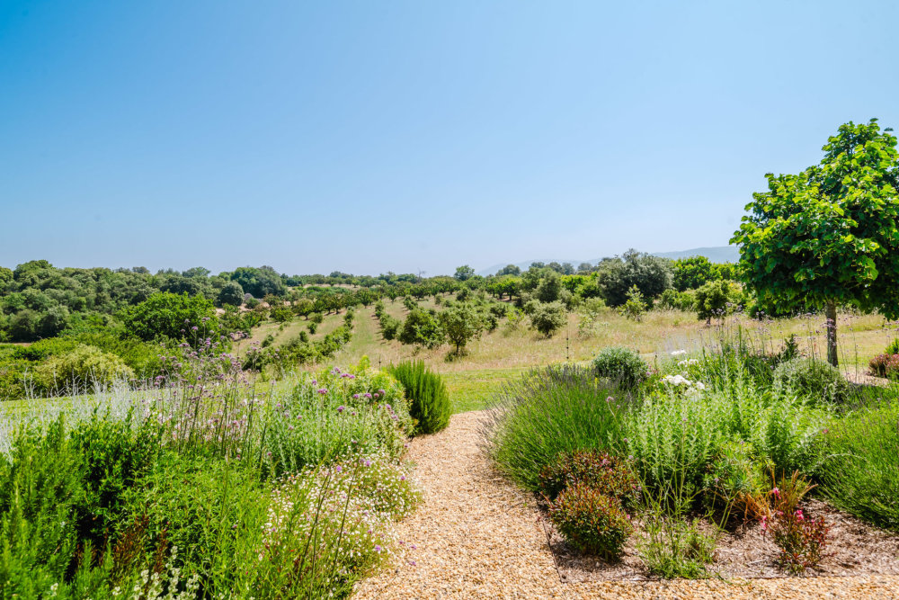 Photographs of Mas Ambre villa in Provence - Image 47 of 51