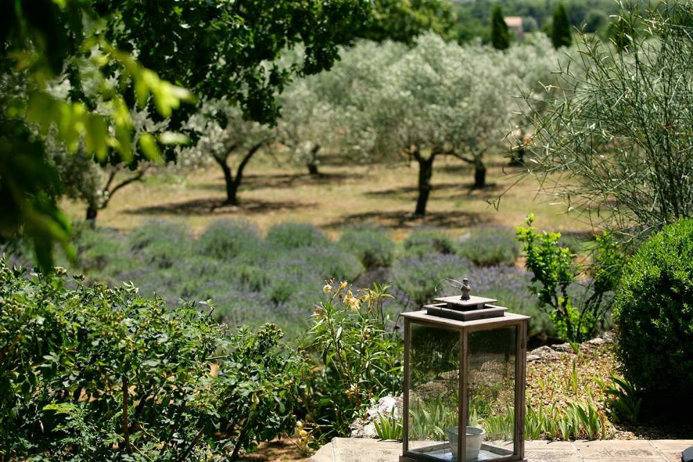 Photographs of Mas de Manebit villa in Provence - Image 24 of 30