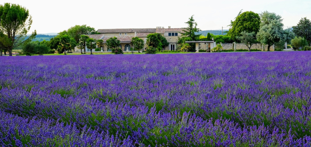 Photographs of Le Mas des Lavandins villa in Provence - Image 1 of 53