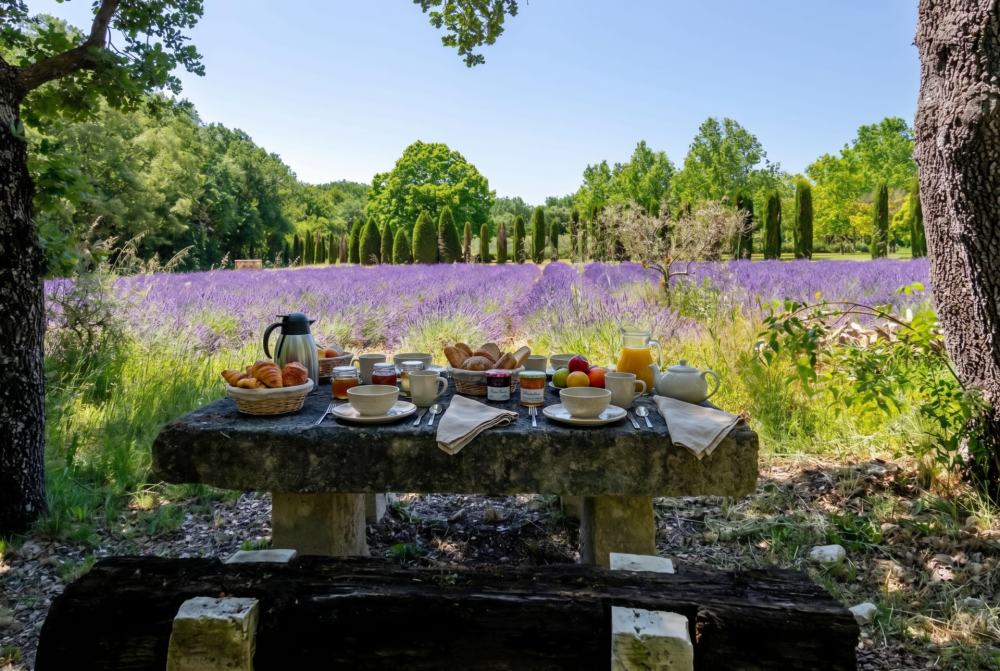 Photographs of Mas des Roses villa in Provence - Image 4 of 44