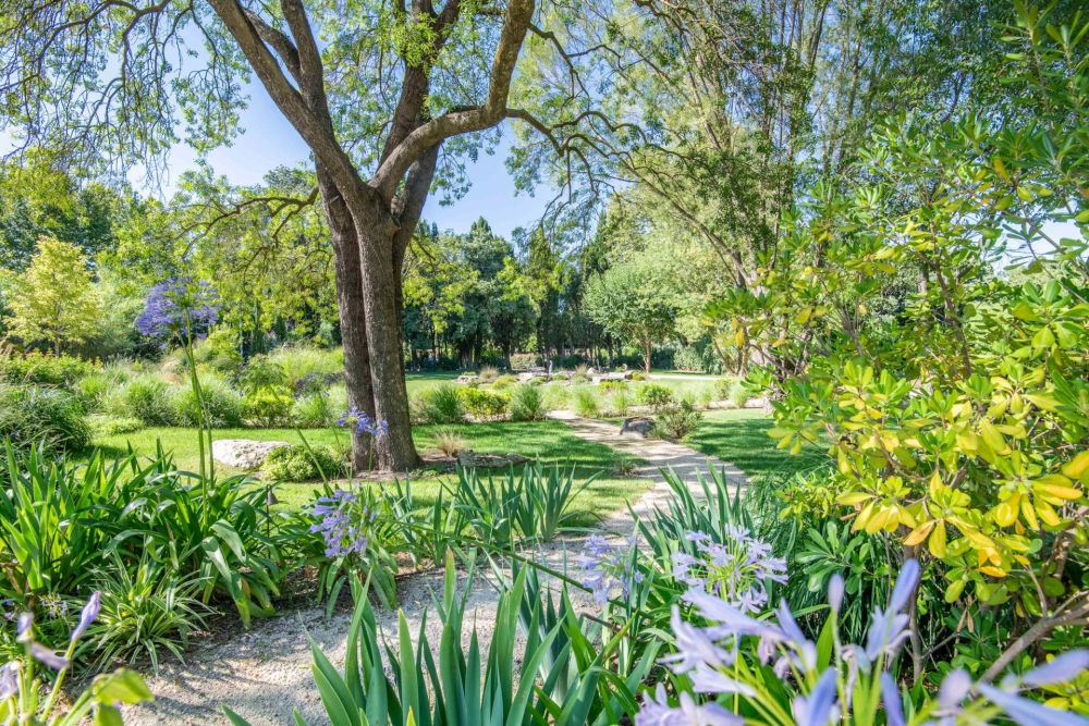 Photographs of Mas des Pierres villa in Provence - Image 40 of 60