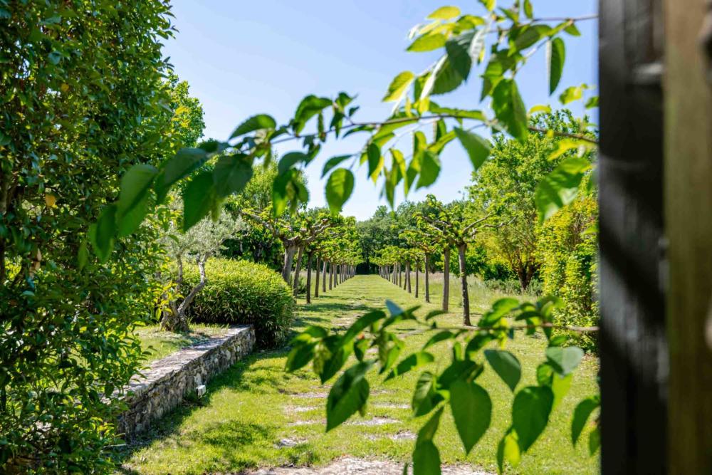 Photographs of Mas des Roses 3 villa in Provence - Image 33 of 37