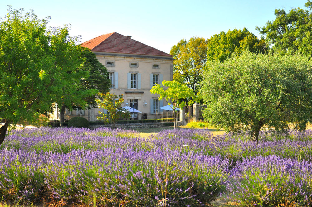 Photographs of Domaine des Légendes4 villa in Provence - Image 4 of 45