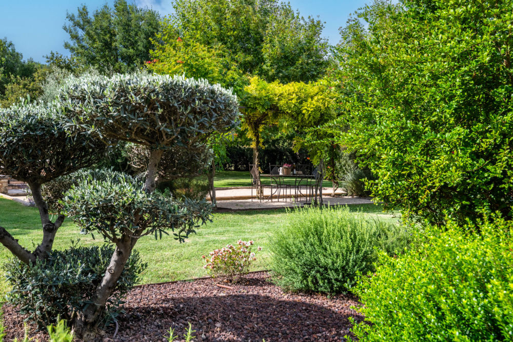 Photographs of Mas du Milan villa in Provence - Image 41 of 50