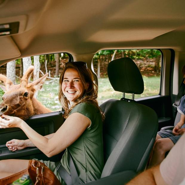 Myriam Baril-Tessier