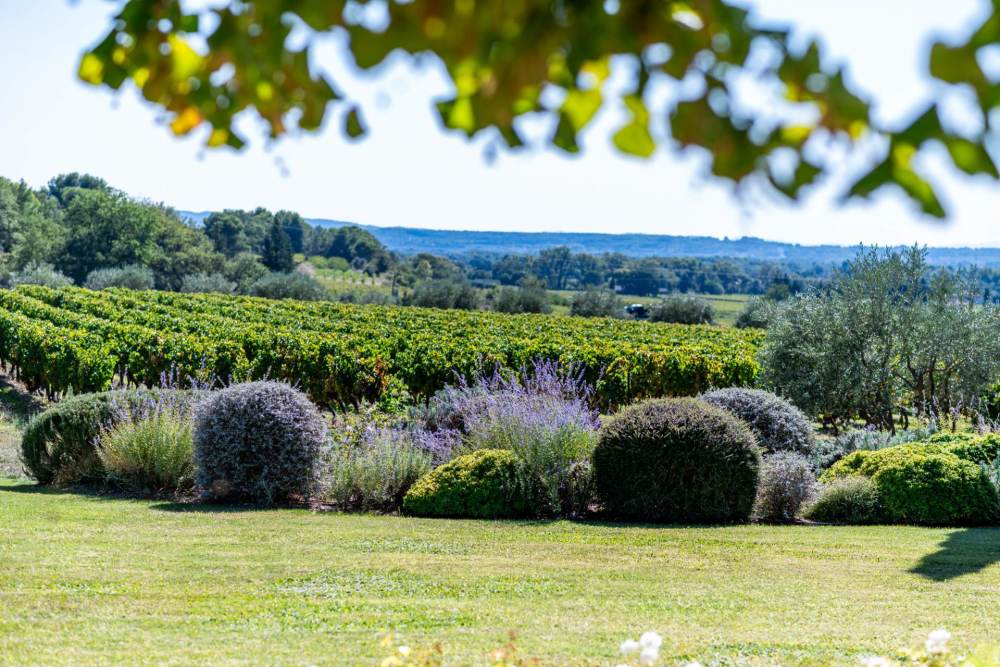 Photographs of Mas de la Sérénité villa in Provence - Image 37 of 39