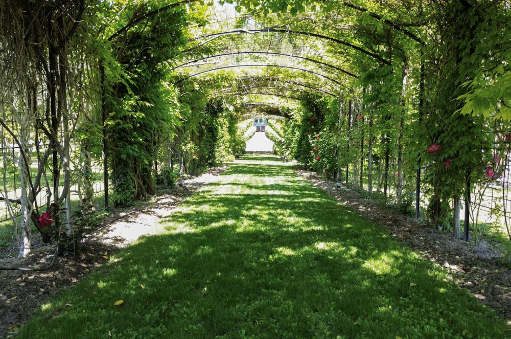 Photographs of Bastide Des Jardins villa in Provence - Image 49 of 52