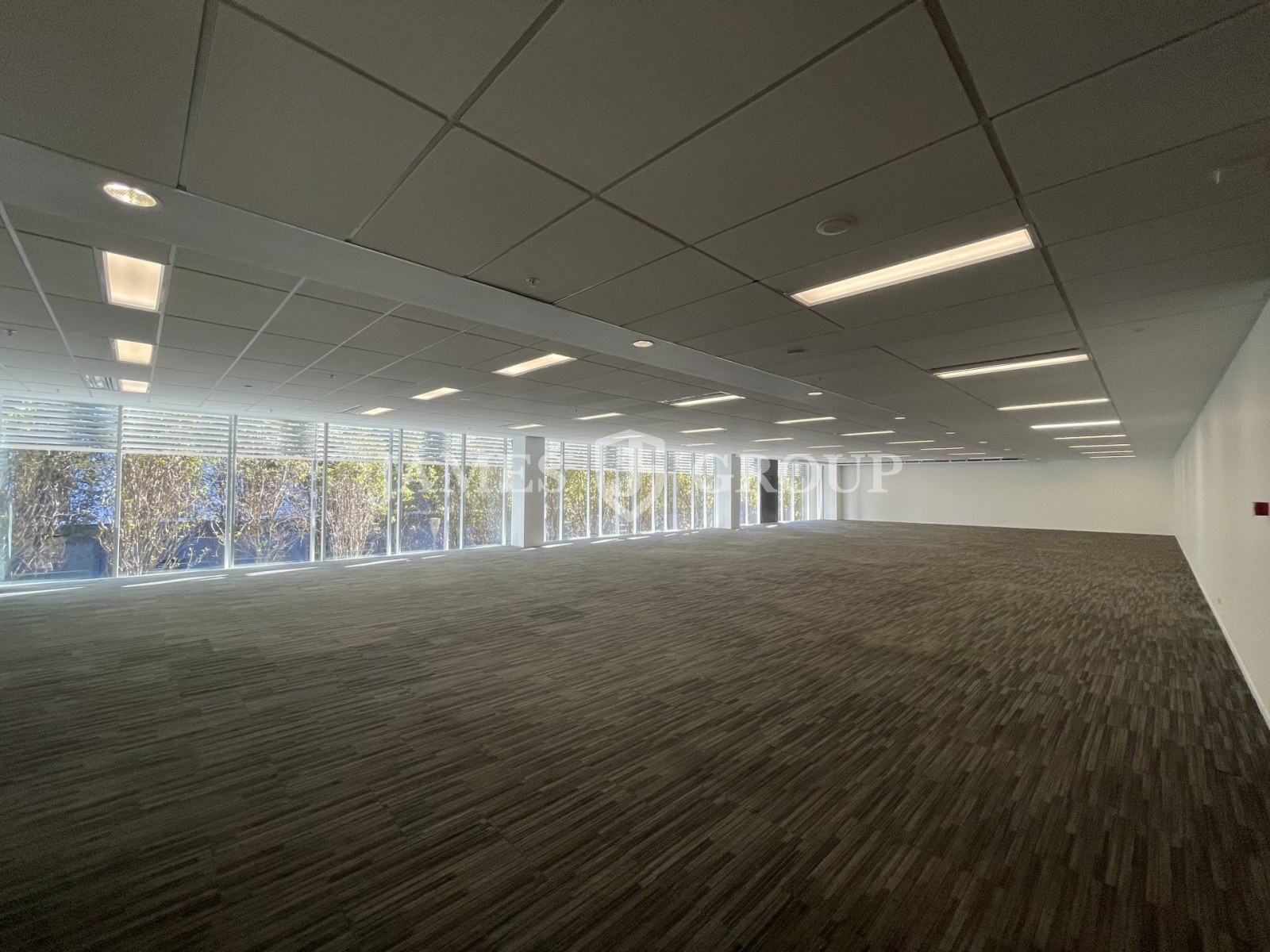 Modern Open Plan Parnell Opportunity
