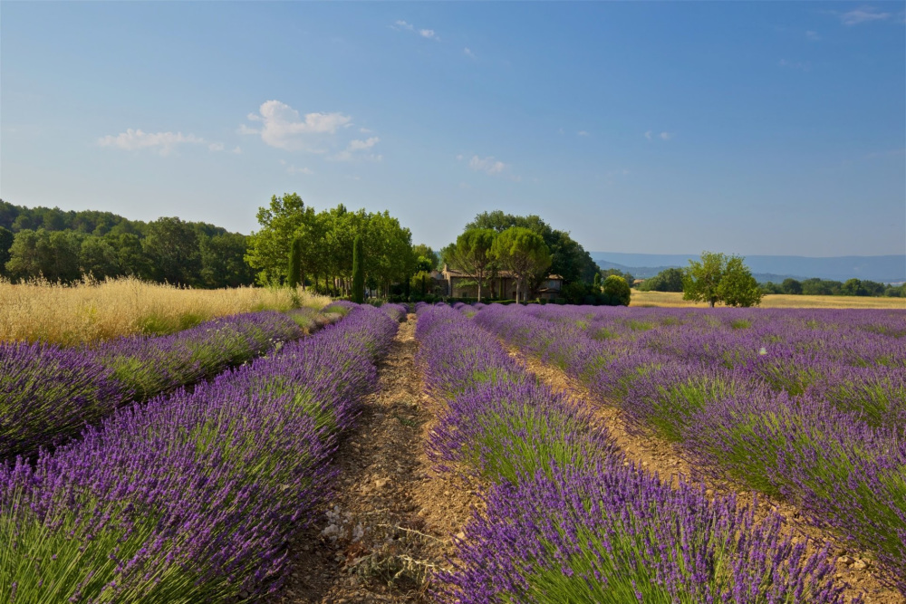 Photographs of Mas Santoline villa in Provence - Image 34 of 34