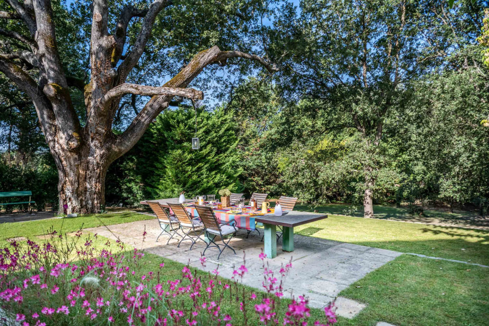 Photographs of Mas de l’Ermitage villa in Provence - Image 33 of 33
