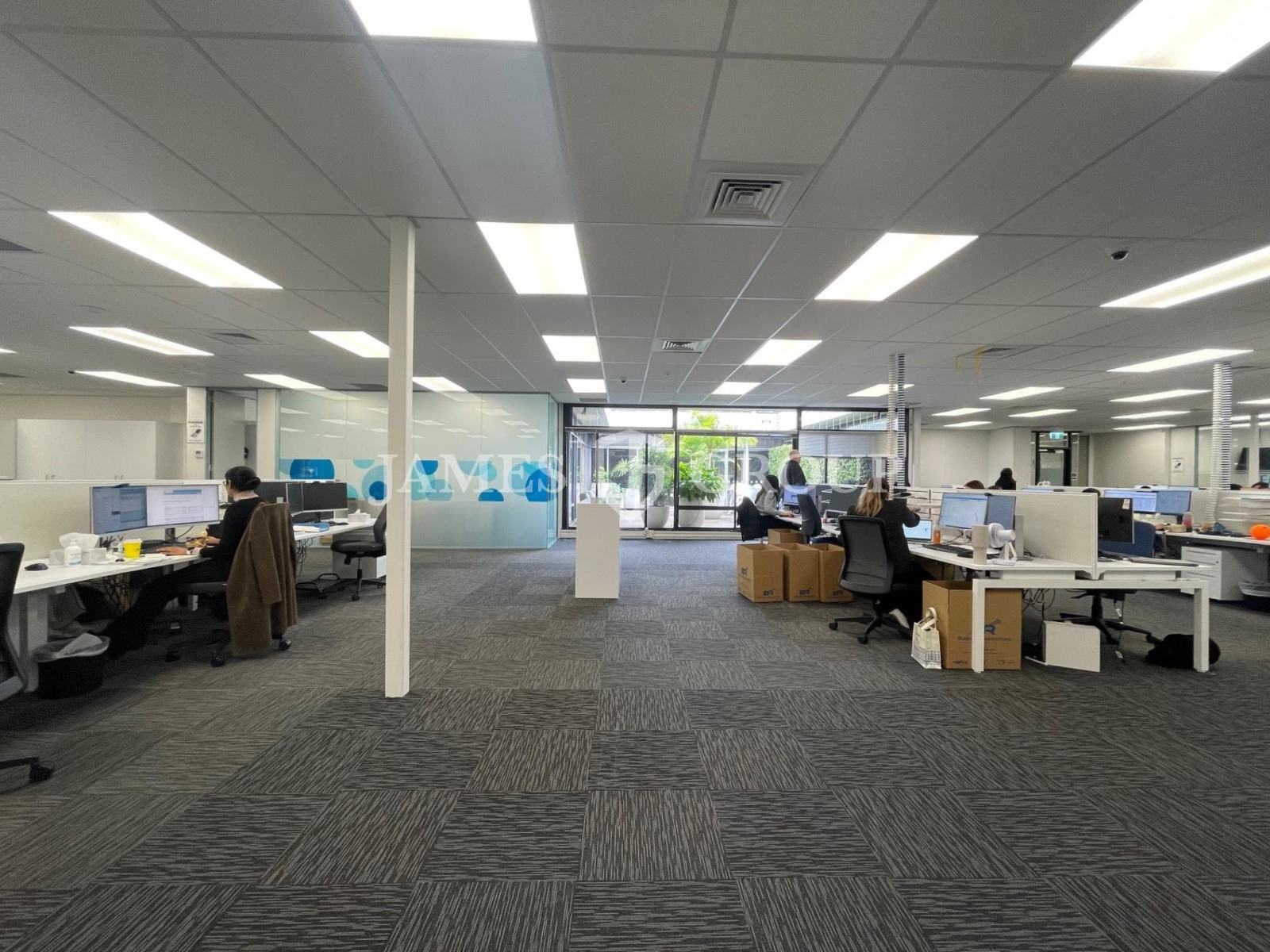 Cost Effective Mount Eden Office