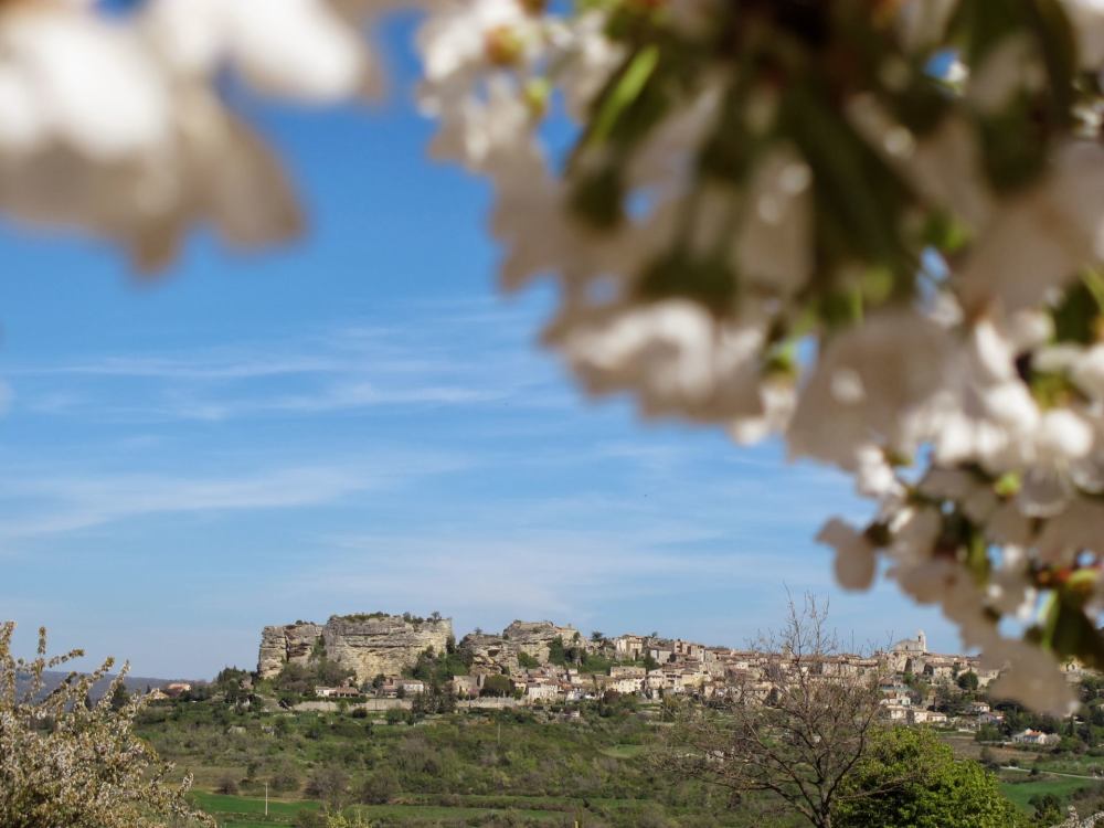 Photographs of Mas de Roquebrune villa in Provence - Image 32 of 32