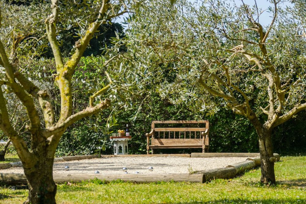 Photographs of Mas d’Olivia villa in Provence - Image 35 of 39