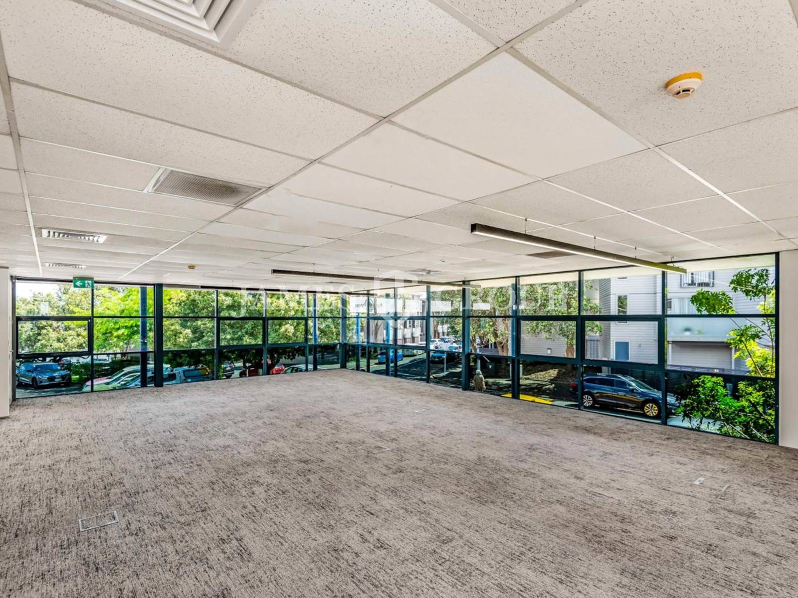 Cost Effective Mount Eden Office With Parks