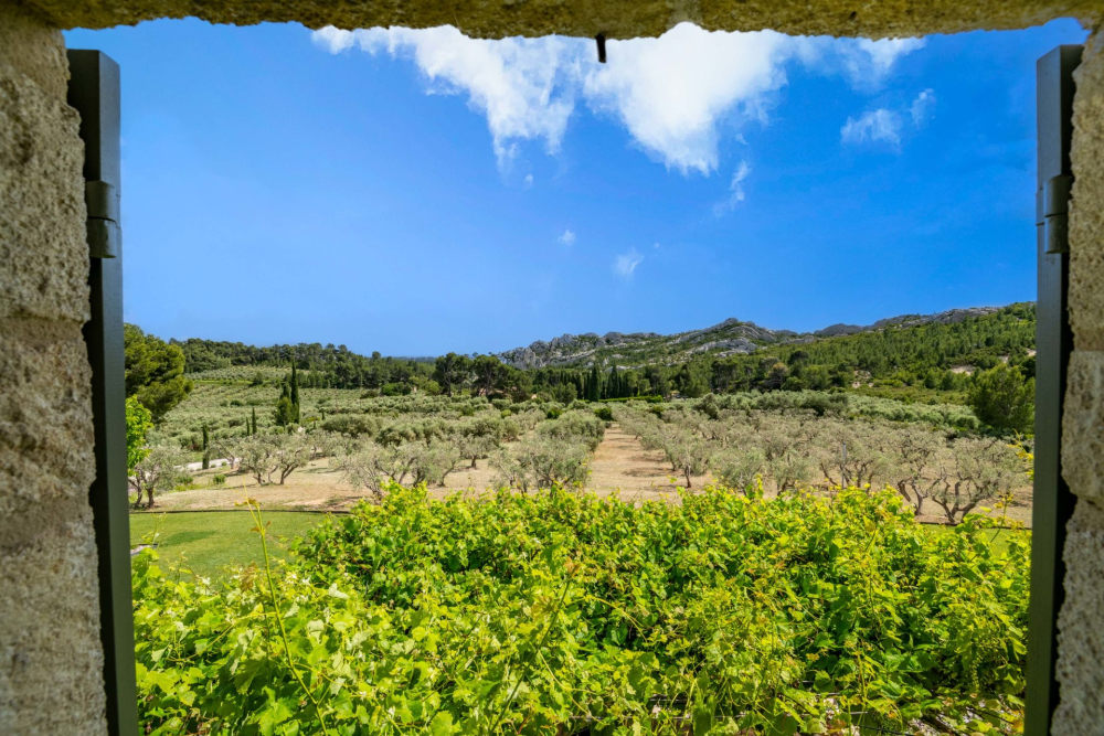 Photographs of Mas Allure villa in Provence - Image 48 of 60