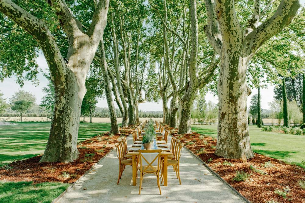 Photographs of Chateau Avignon Provence villa in Provence - Image 5 of 35