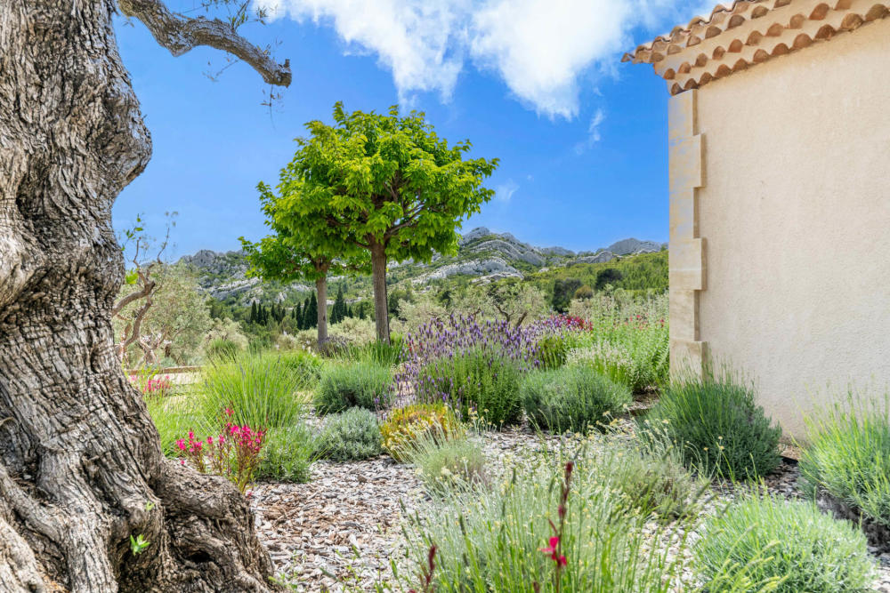 Photographs of Mas Allure villa in Provence - Image 20 of 60