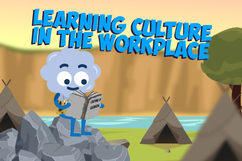 Learning Culture in the Workplace