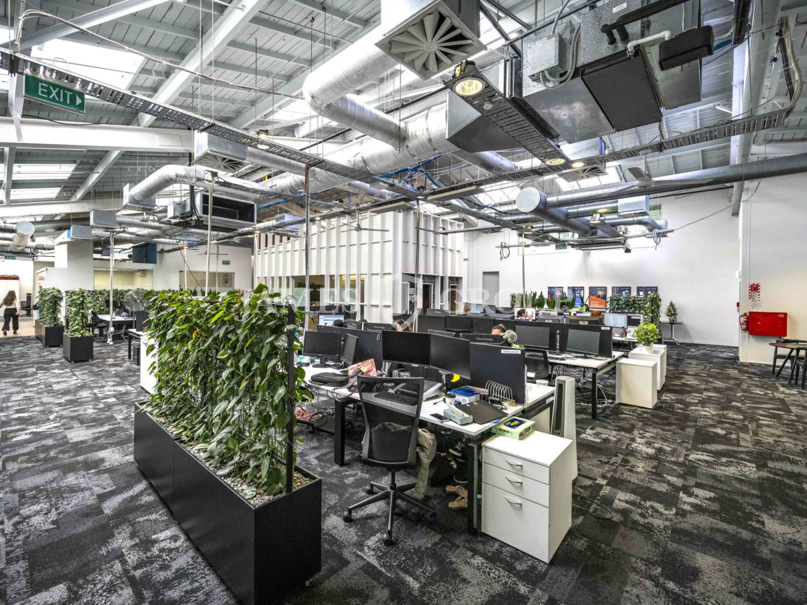 Iconic Parnell Office With Exceptional Amenities