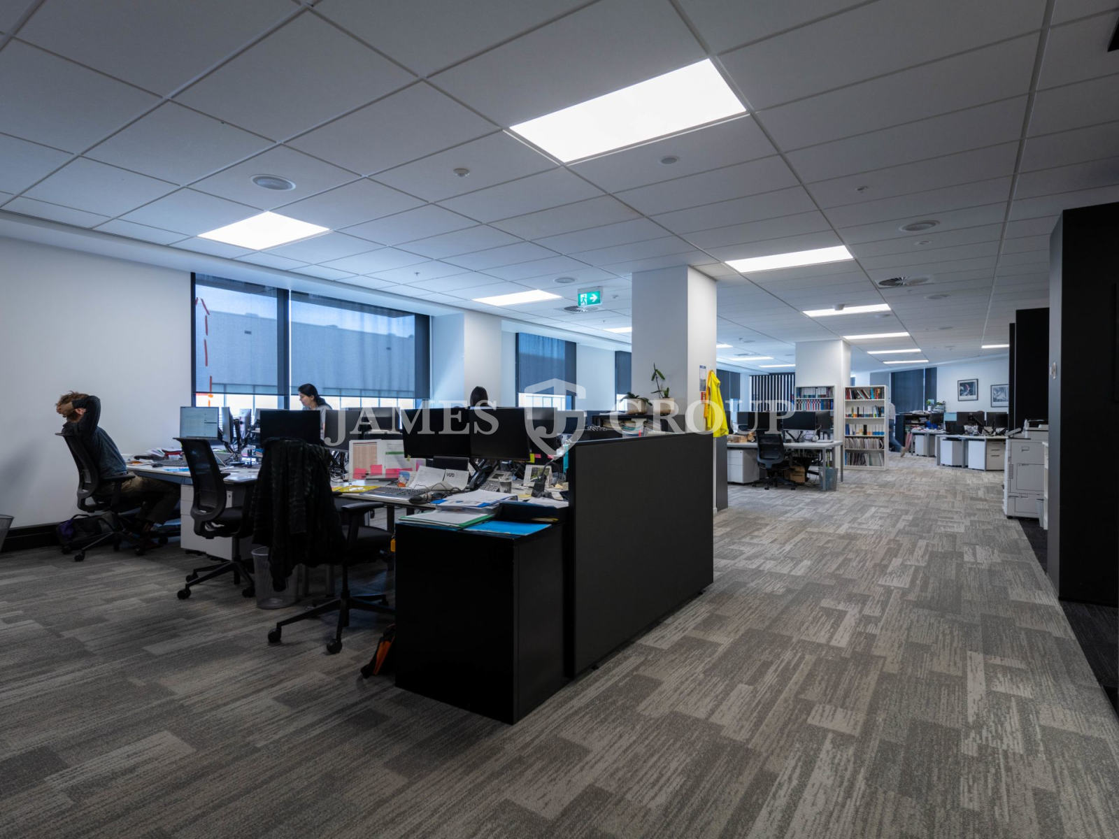 Premium Green Star Parnell Office