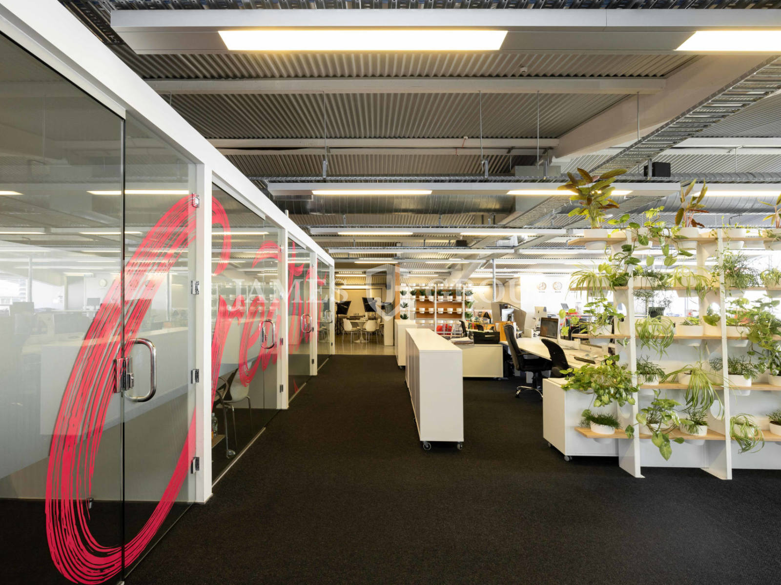 Premium Office Opportunity In City Fringe Suburb